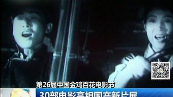 国产片子,光影交织下的时代印记